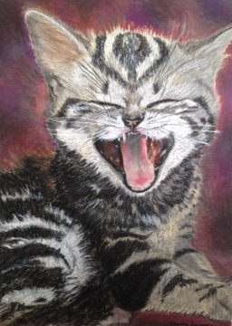 Large -meowing- cat 15x20
Original $420